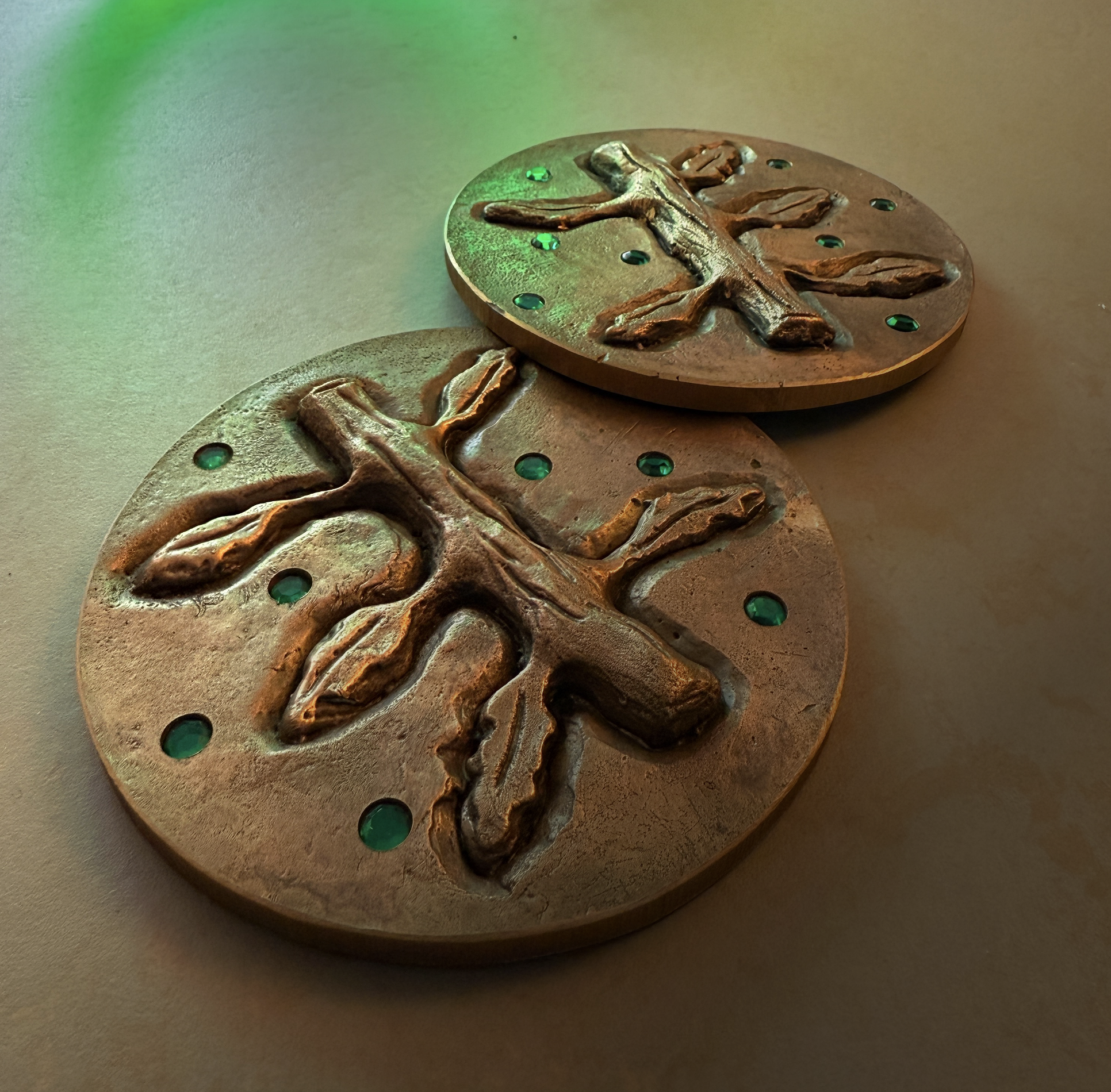 Hogeschool Zuyd en voor een profielwerkstuk over scheikunde aan een LVO-school Fons Haagmans medaille